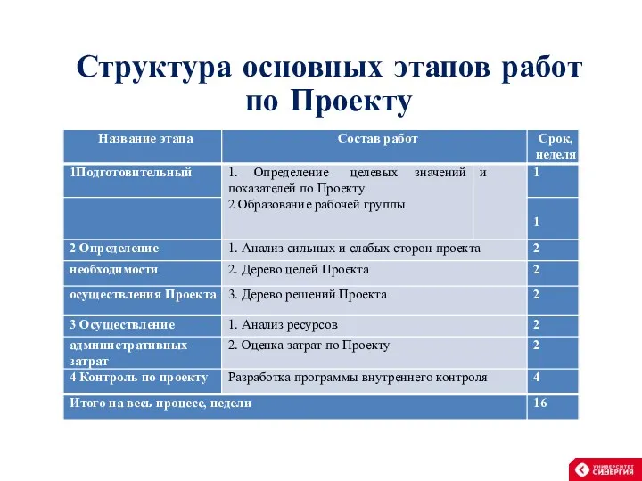 Структура основных этапов работ по Проекту