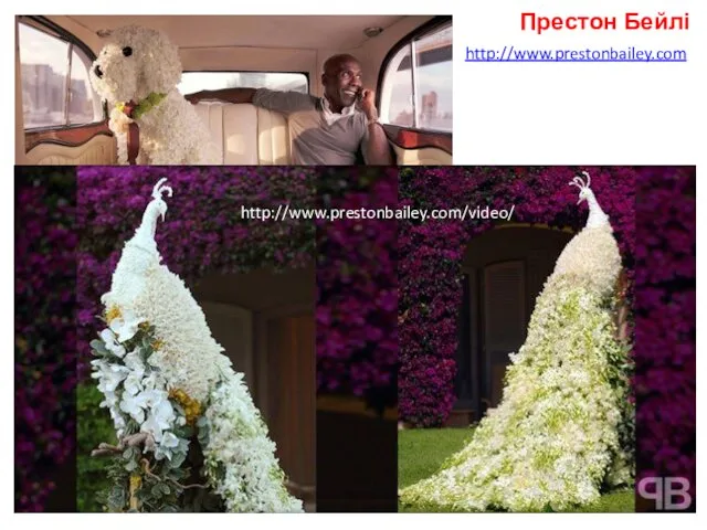 Престон Бейлі http://www.prestonbailey.com http://www.prestonbailey.com/video/