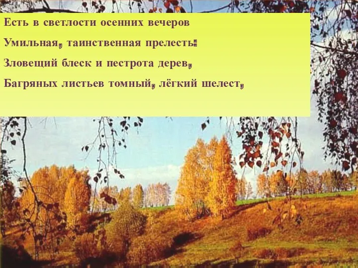 Есть в светлости осенних вечеров Умильная, таинственная прелесть: Зловещий блеск и пестрота дерев,