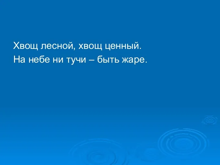 Хвощ лесной, хвощ ценный. На небе ни тучи – быть жаре.