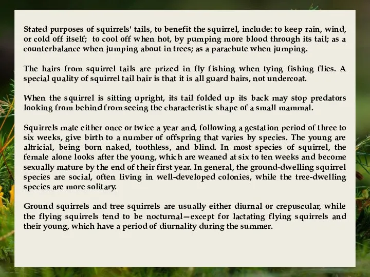 Stated purposes of squirrels' tails, to benefit the squirrel, include: