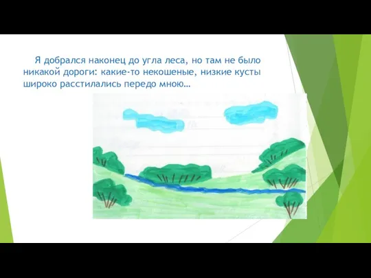 Я добрался наконец до угла леса, но там не было никакой дороги: какие-то