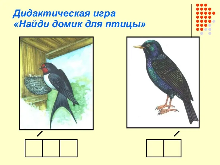 Дидактическая игра «Найди домик для птицы»