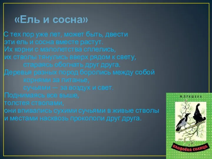 «Ель и сосна» С тех пор уже лет, может быть,