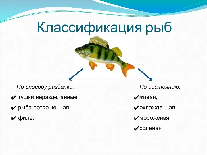 Классификация рыб По способу разделки: тушки неразделанные, рыба потрошенная, филе. По состоянию: живая, охлажденная, мороженая, соленая