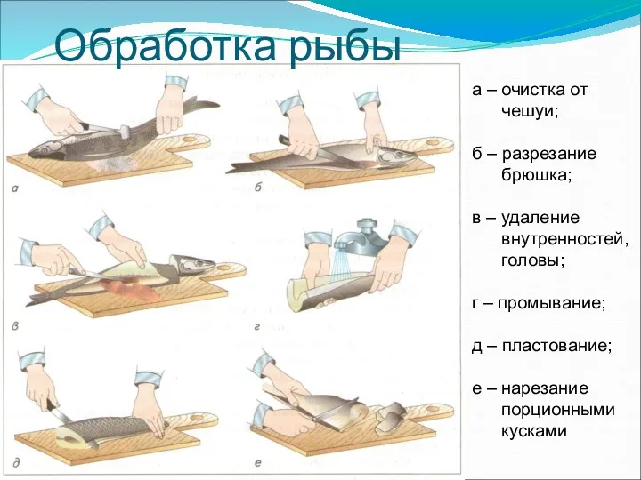 а – очистка от чешуи; б – разрезание брюшка; в