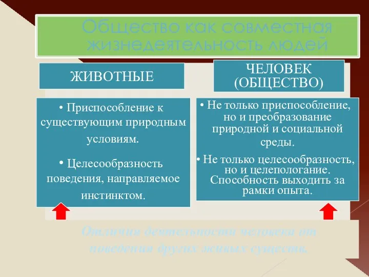 Общество как совместная жизнедеятельность людей ЧЕЛОВЕК (ОБЩЕСТВО) Не только приспособление,