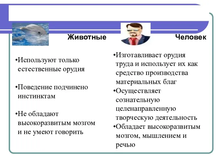 Отличие человека от животных Животные Человек Изготавливает орудия труда и