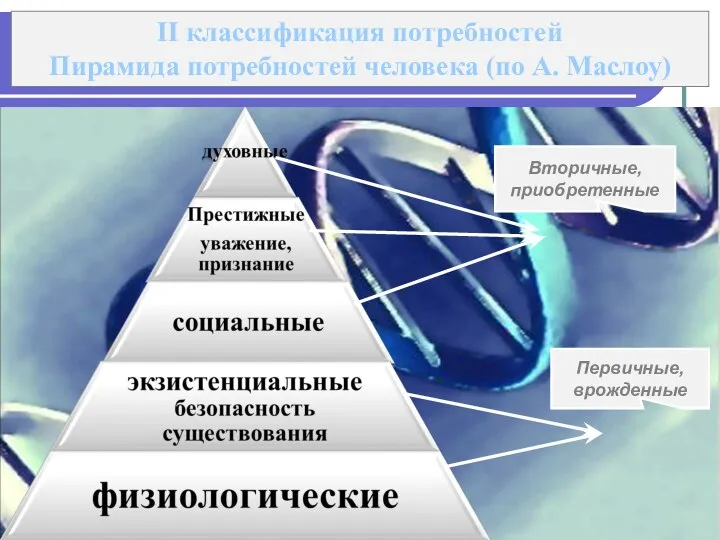 II классификация потребностей Пирамида потребностей человека (по А. Маслоу) Первичные, врожденные Вторичные, приобретенные