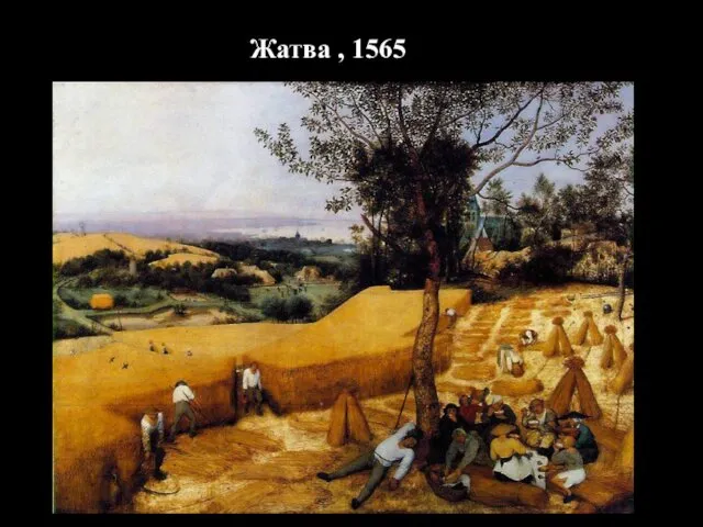 Жатва , 1565