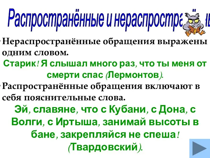 Распространённые и нераспространённые обращения Нераспространённые обращения выражены одним словом. Старик!