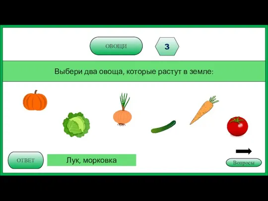 ОВОЩИ 3 Выбери два овоща, которые растут в земле: ОТВЕТ Лук, морковка Вопросы