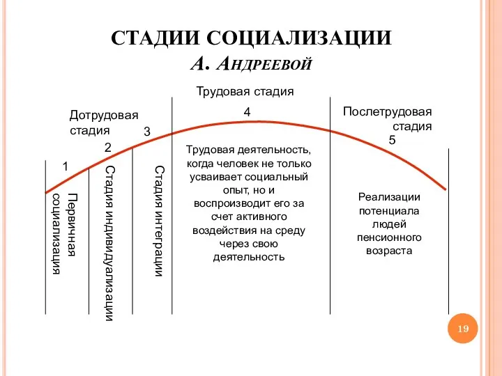 СТАДИИ СОЦИАЛИЗАЦИИ А. Андреевой Дотрудовая стадия Трудовая стадия Послетрудовая стадия