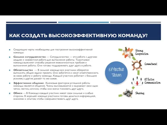 КАК СОЗДАТЬ ВЫСОКОЭФФЕКТИВНУЮ КОМАНДУ? Следующие черты необходимы для построения высокоэффективной