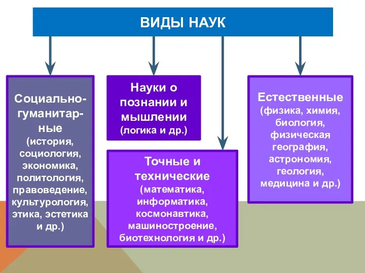 ВИДЫ НАУК Социально-гуманитар-ные (история, социология, экономика, политология, правоведение, культурология, этика,