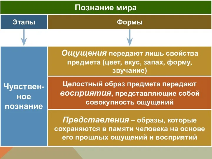 Познание мира Этапы Формы Чувствен-ное познание Ощущения передают лишь свойства