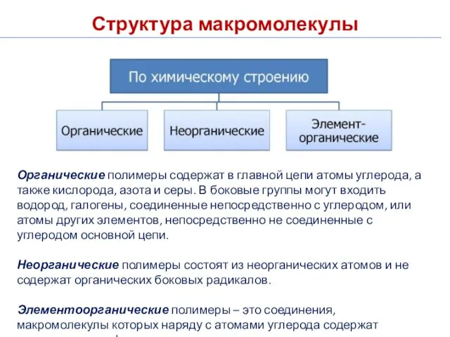 Структура макромолекулы Органические полимеры содержат в главной цепи атомы углерода,