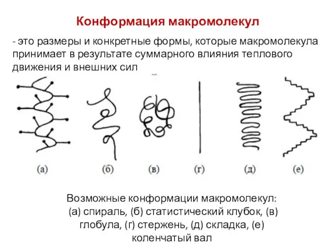 Конформация макромолекул Возможные конформации макромолекул: (а) спираль, (б) статистический клубок, (в) глобула, (г)