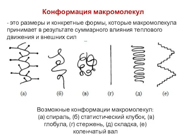 Конформация макромолекул Возможные конформации макромолекул: (а) спираль, (б) статистический клубок,