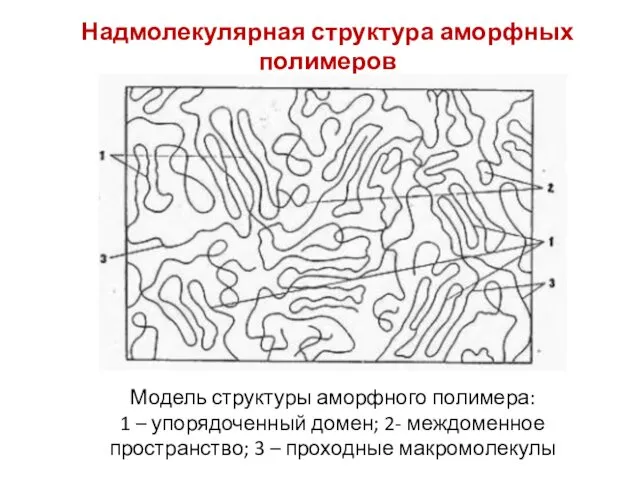 Надмолекулярная структура аморфных полимеров Модель структуры аморфного полимера: 1 –