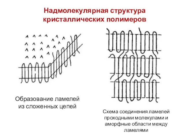 Надмолекулярная структура кристаллических полимеров Образование ламелей из сложенных цепей Схема соединения ламелей проходными