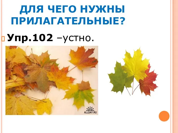 ДЛЯ ЧЕГО НУЖНЫ ПРИЛАГАТЕЛЬНЫЕ? Упр.102 –устно.