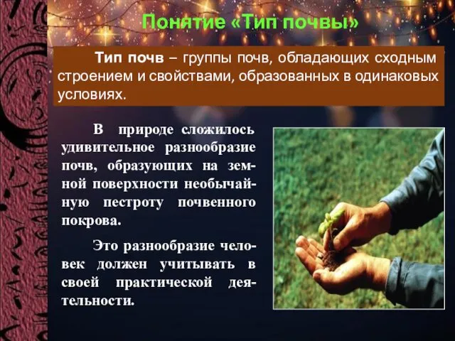 Понятие «Тип почвы» Тип почв – группы почв, обладающих сходным