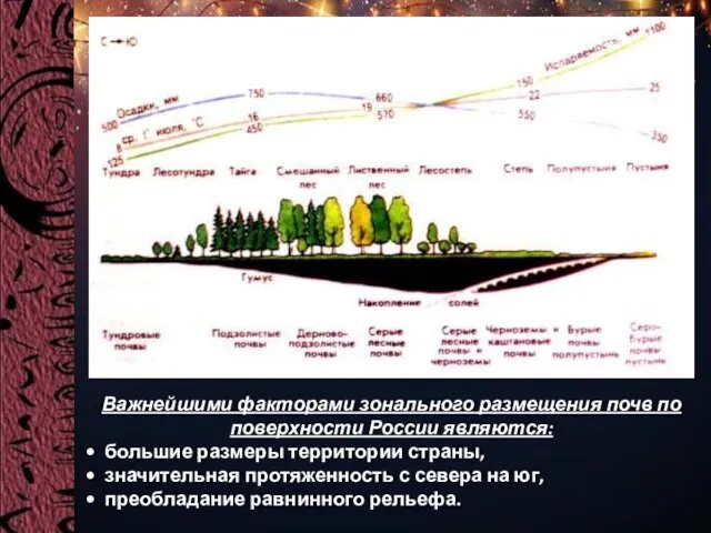 Важнейшими факторами зонального размещения почв по поверхности России являются: большие размеры территории страны,