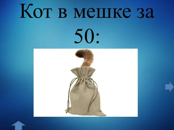 Кот в мешке за 50: