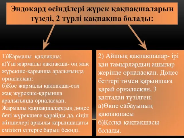 Эндокард өсінділері жүрек қақпақшаларын түзеді, 2 түрлі қақпақша болады: 1)Жармалы