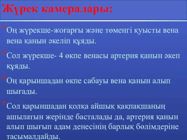 Жүрек камералары: Оң жүрекше-жоғарғы және төменгі қуысты вена вена қанын