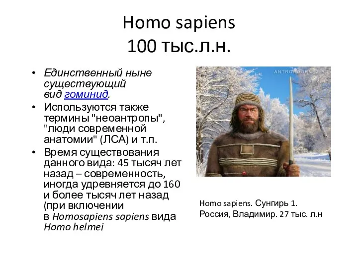 Homo sapiens 100 тыс.л.н. Единственный ныне существующий вид гоминид. Используются