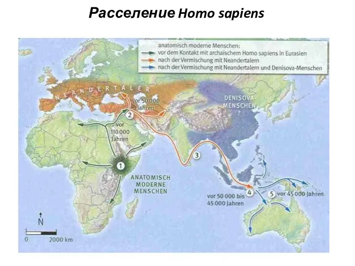 Расселение Homo sapiens