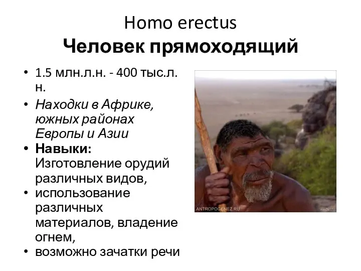 Homo erectus Человек прямоходящий 1.5 млн.л.н. - 400 тыс.л.н. Находки