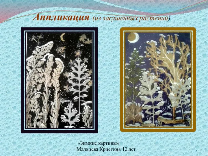Аппликация (из засушенных растений) «Зимние картины» Мальцева Кристина 12 лет