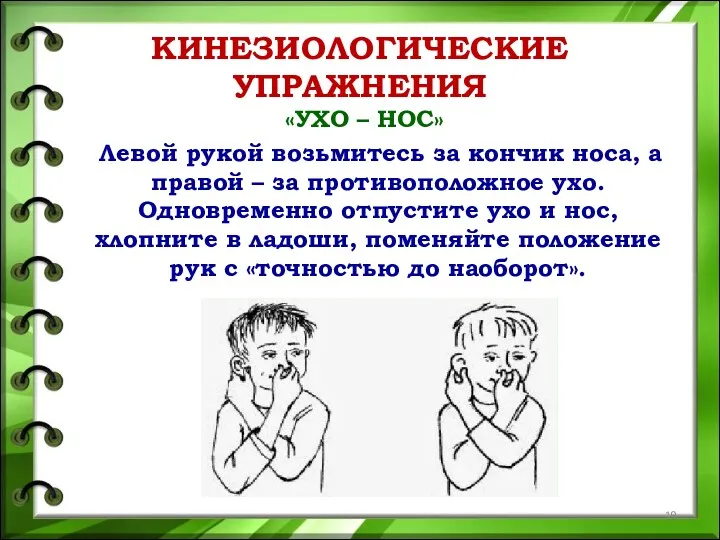 КИНЕЗИОЛОГИЧЕСКИЕ УПРАЖНЕНИЯ «УХО – НОС» Левой рукой возьмитесь за кончик