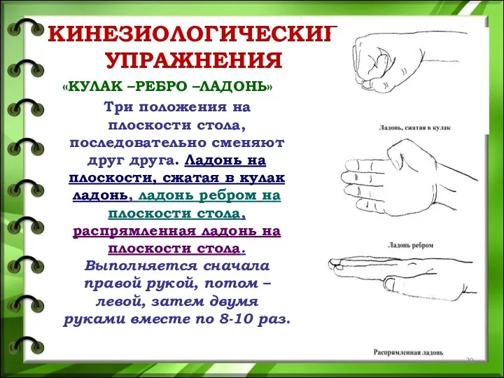 КИНЕЗИОЛОГИЧЕСКИЕ УПРАЖНЕНИЯ «КУЛАК –РЕБРО –ЛАДОНЬ» Три положения на плоскости стола,