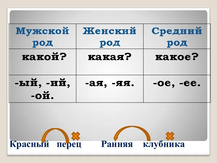 Имя Прилагательное изменяется по родам в единственном числе Красный перец Ранняя клубника