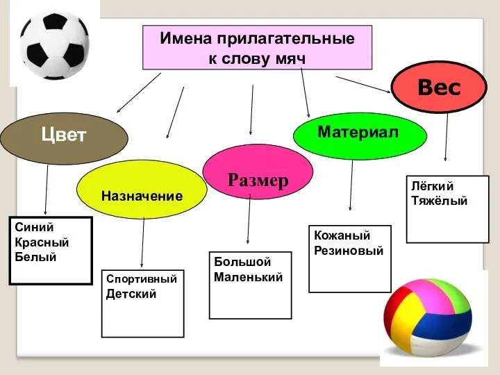 Цвет Назначение Вес Материал Размер Имена прилагательные к слову мяч