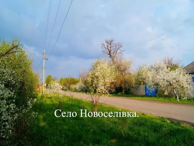 Село Новоселівка..