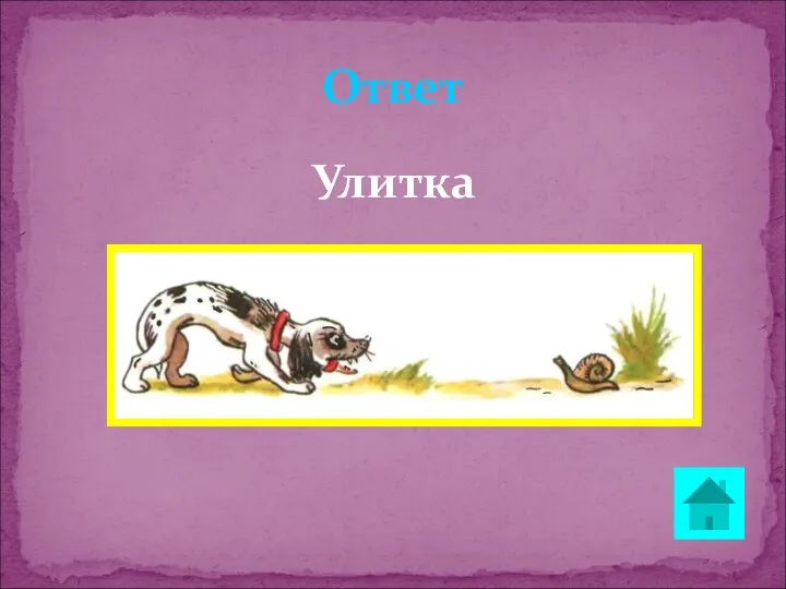 Улитка Ответ