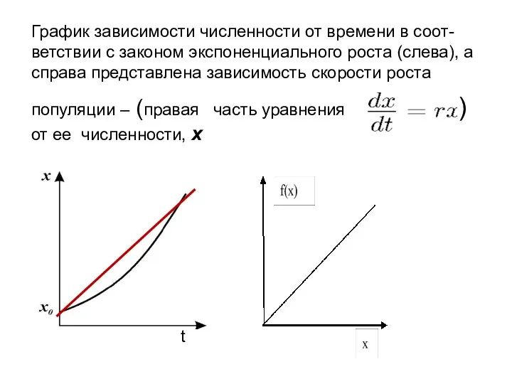 График зависимости численности от времени в соот-ветствии с законом экспоненциального