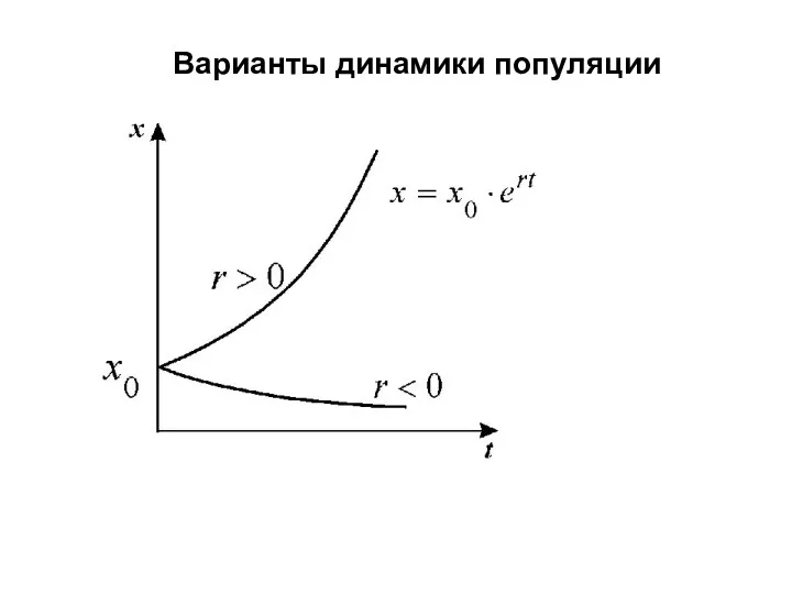 Варианты динамики популяции