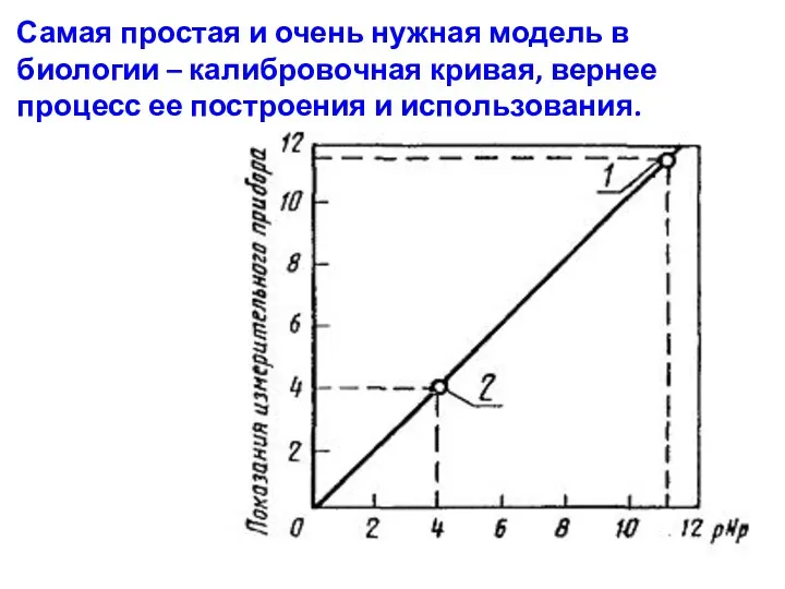 Самая простая и очень нужная модель в биологии – калибровочная