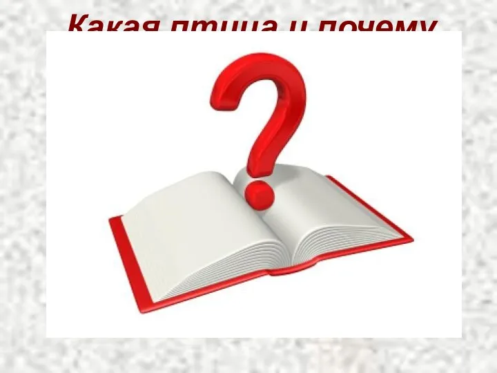 Какая птица и почему выводит птенцов в январе? Галка Синица Поползень Клест