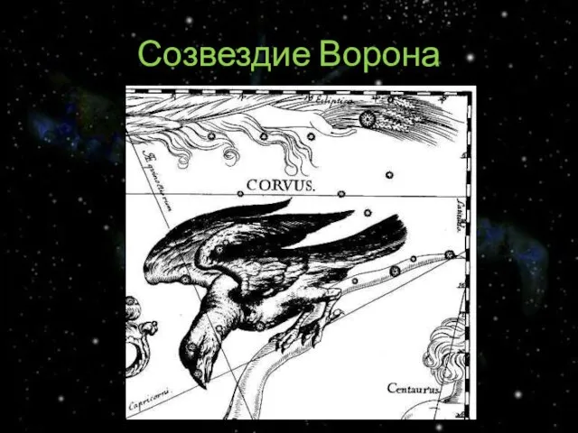 Созвездие Ворона