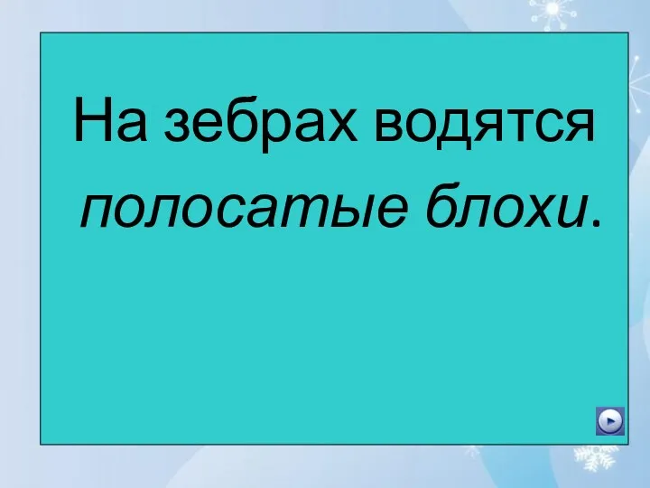 На зебрах водятся полосатые блохи.