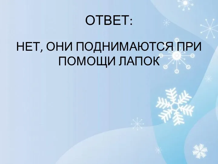 ОТВЕТ: НЕТ, ОНИ ПОДНИМАЮТСЯ ПРИ ПОМОЩИ ЛАПОК