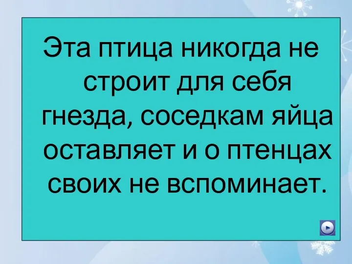 Эта птица никогда не строит для себя гнезда, соседкам яйца