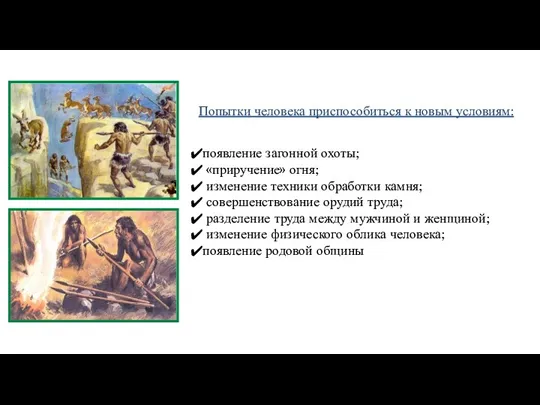 Попытки человека приспособиться к новым условиям: появление загонной охоты; «приручение»